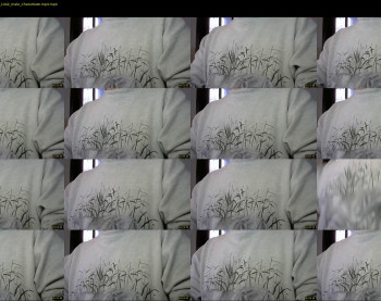 il_undercover — 8 minute Chaturbate male cam show recording, 480p, Nov 13, 2022