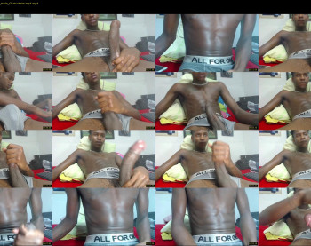 real1dk — 13 minute Chaturbate male cam show recording, 720p, Nov 13, 2022