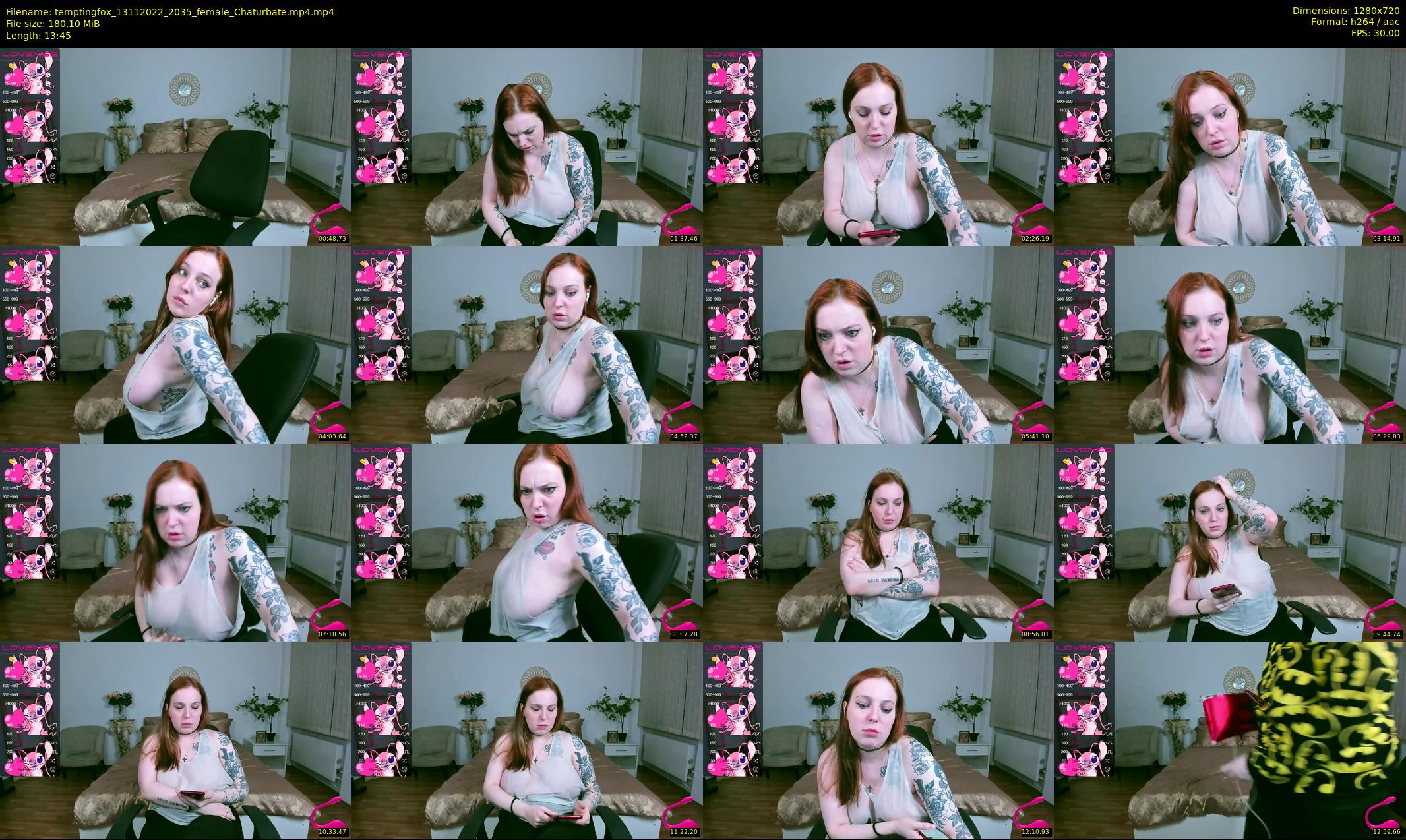 temptingfox — 14 minute Chaturbate female cam show recording, 720p, Nov 13, 2022