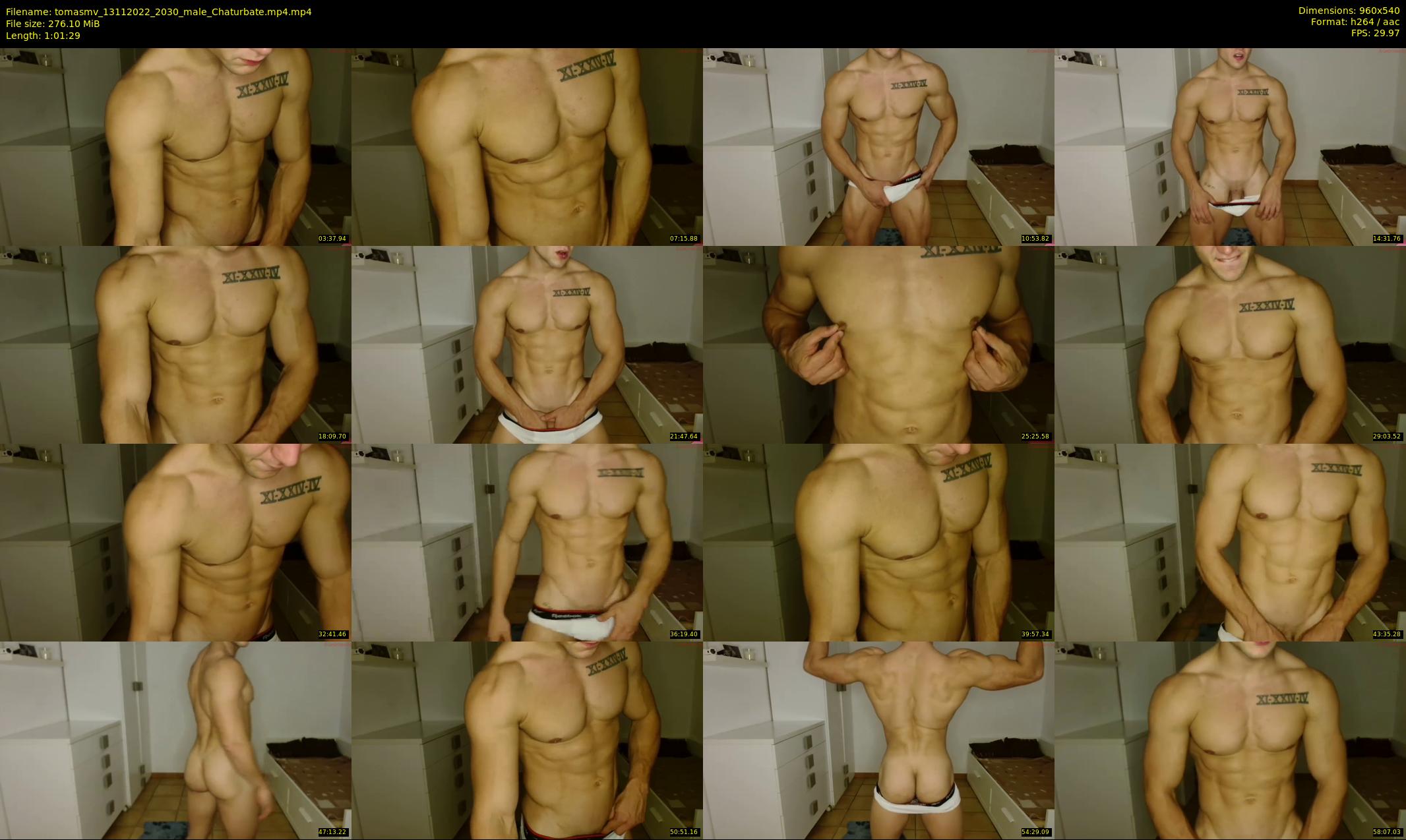tomasmv — 62 minute Chaturbate male cam show recording, 480p, Nov 13, 2022