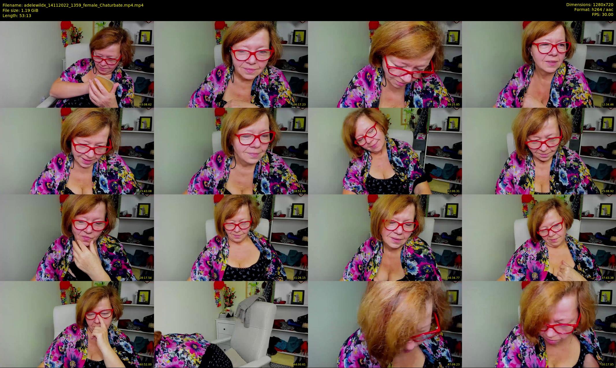 adelewildx — 54 minute Chaturbate female cam show recording, 720p, Nov 14, 2022