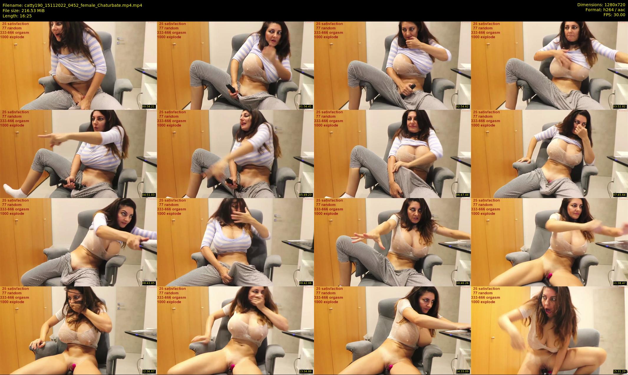 catty190 — 17 minute Chaturbate female cam show recording, 720p, Nov 15, 2022