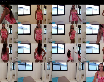 thaidream25 — 36 minute Chaturbate female cam show recording, 720p, Nov 14, 2022