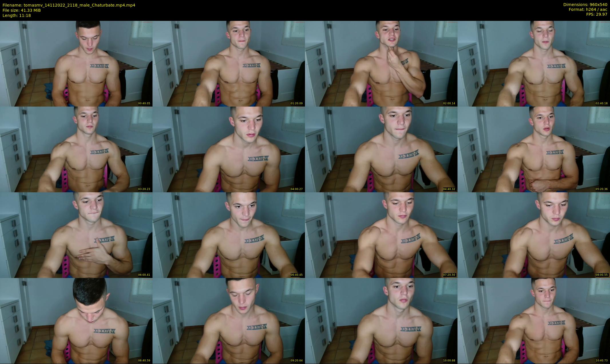 tomasmv — 12 minute Chaturbate male cam show recording, 480p, Nov 14, 2022