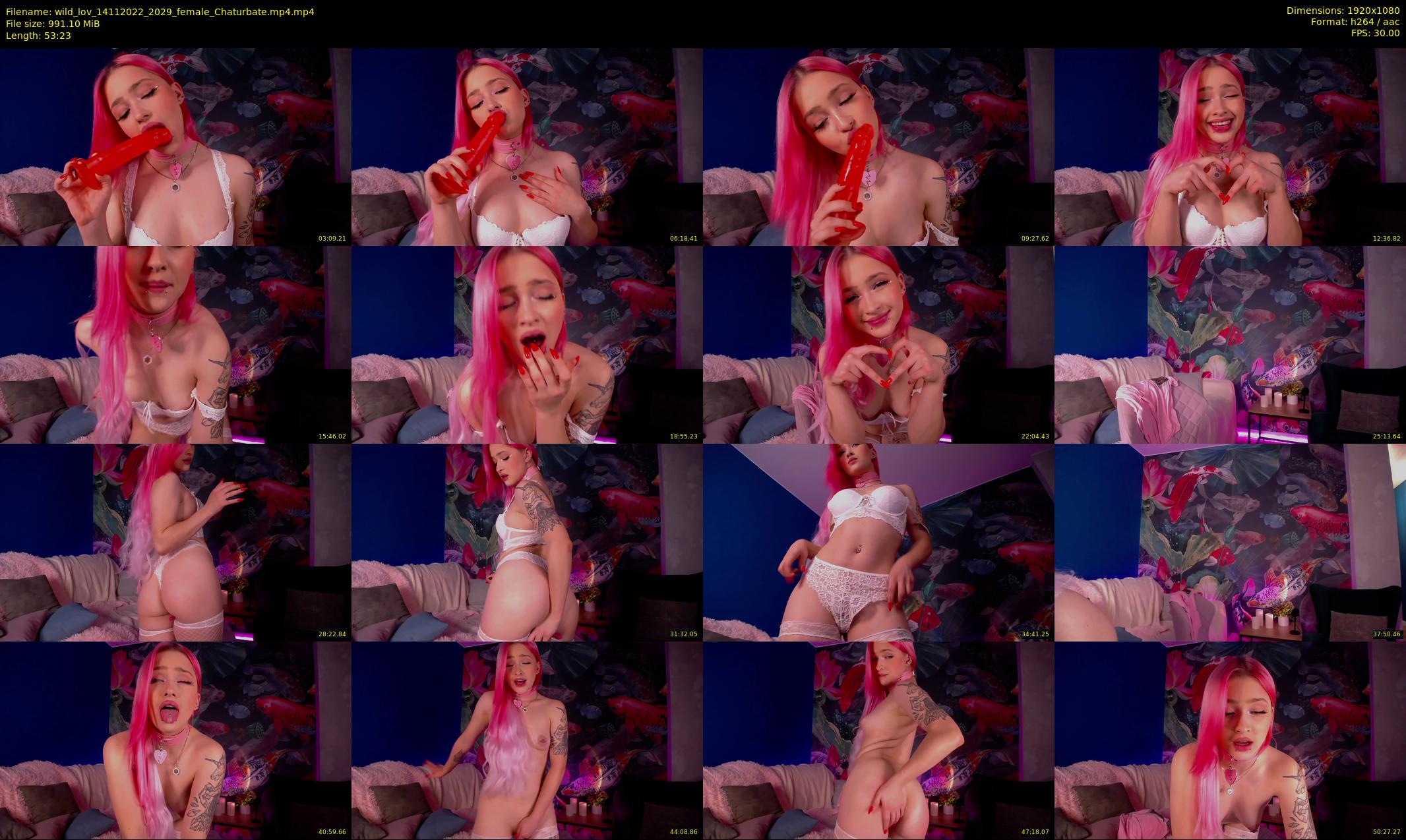 wild_lov — 54 minute Chaturbate female cam show recording, 1080p, Nov 14, 2022