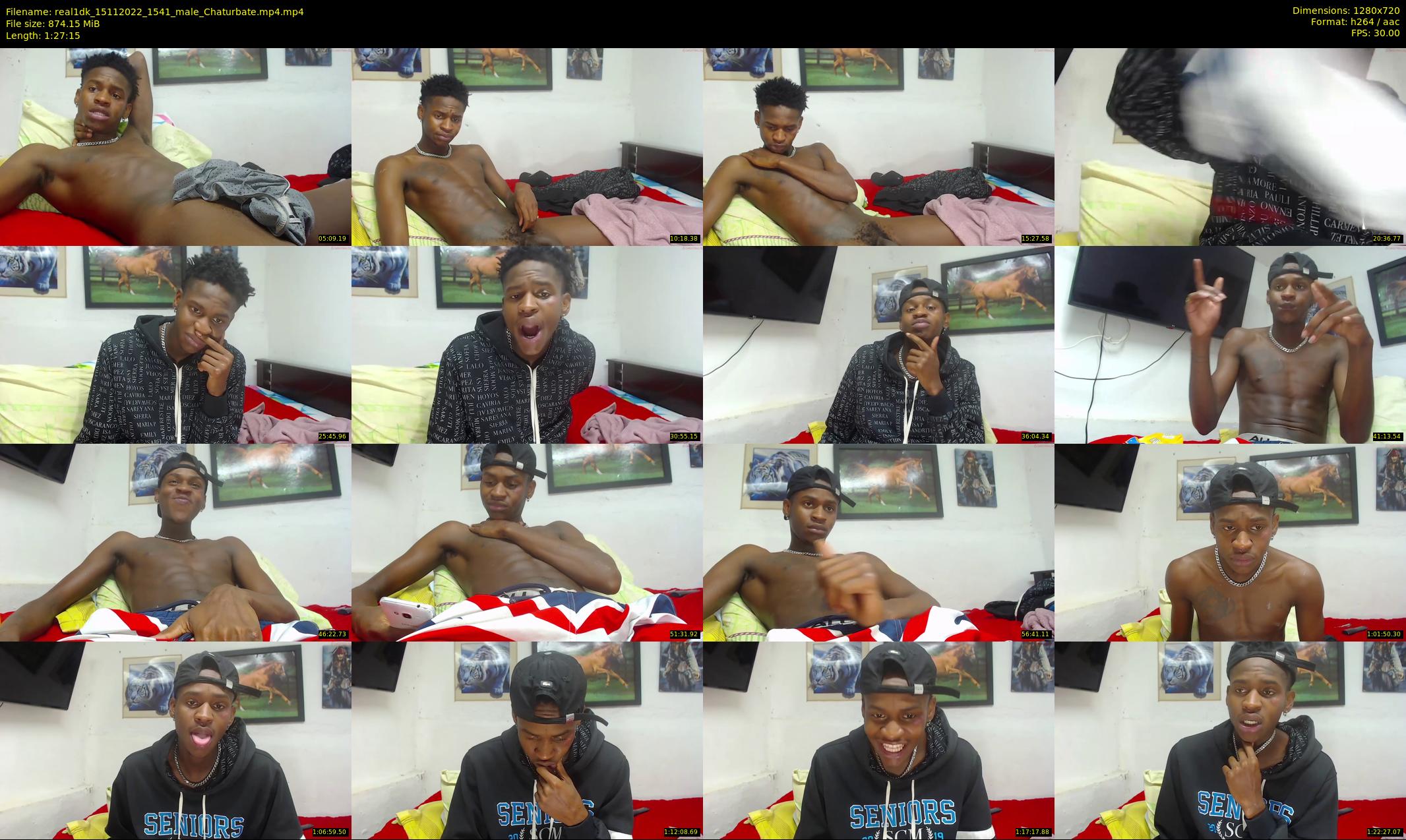 real1dk — 88 minute Chaturbate male cam show recording, 720p, Nov 15, 2022