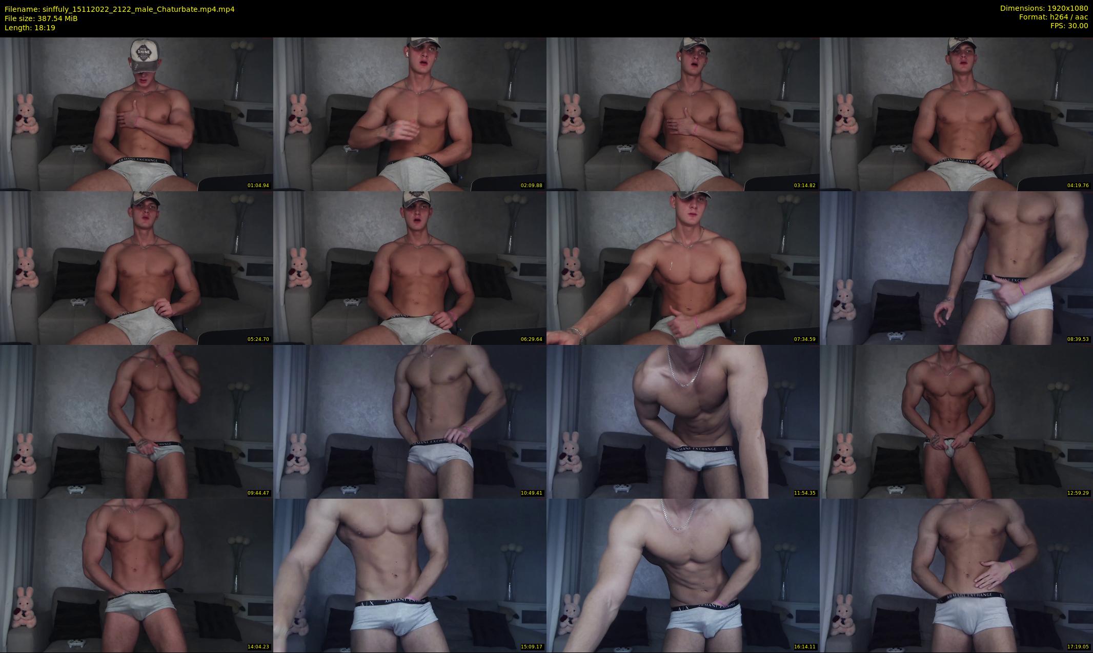 sinffuly — 19 minute Chaturbate male cam show recording, 1080p, Nov 15, 2022
