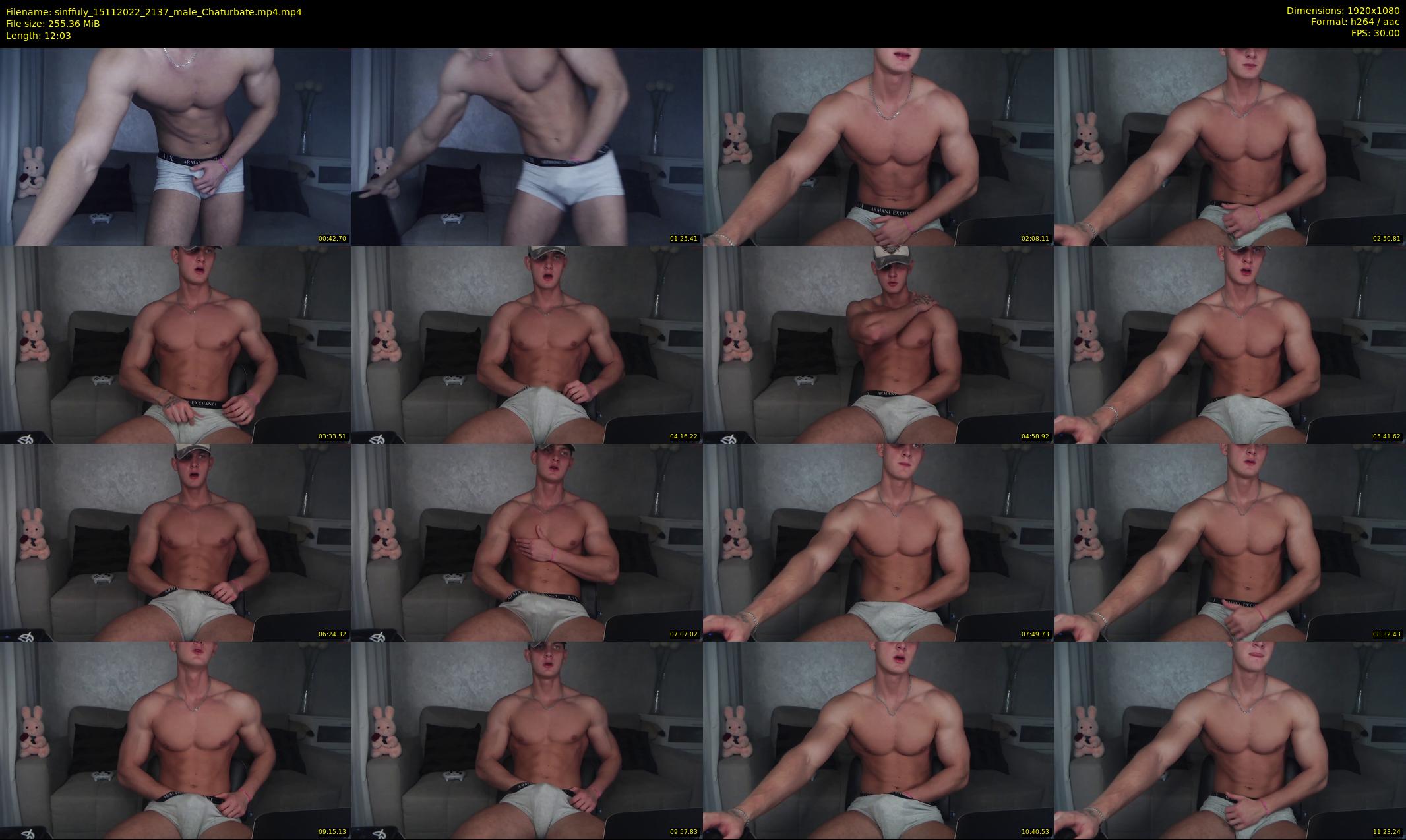 sinffuly — 13 minute Chaturbate male cam show recording, 1080p, Nov 15, 2022