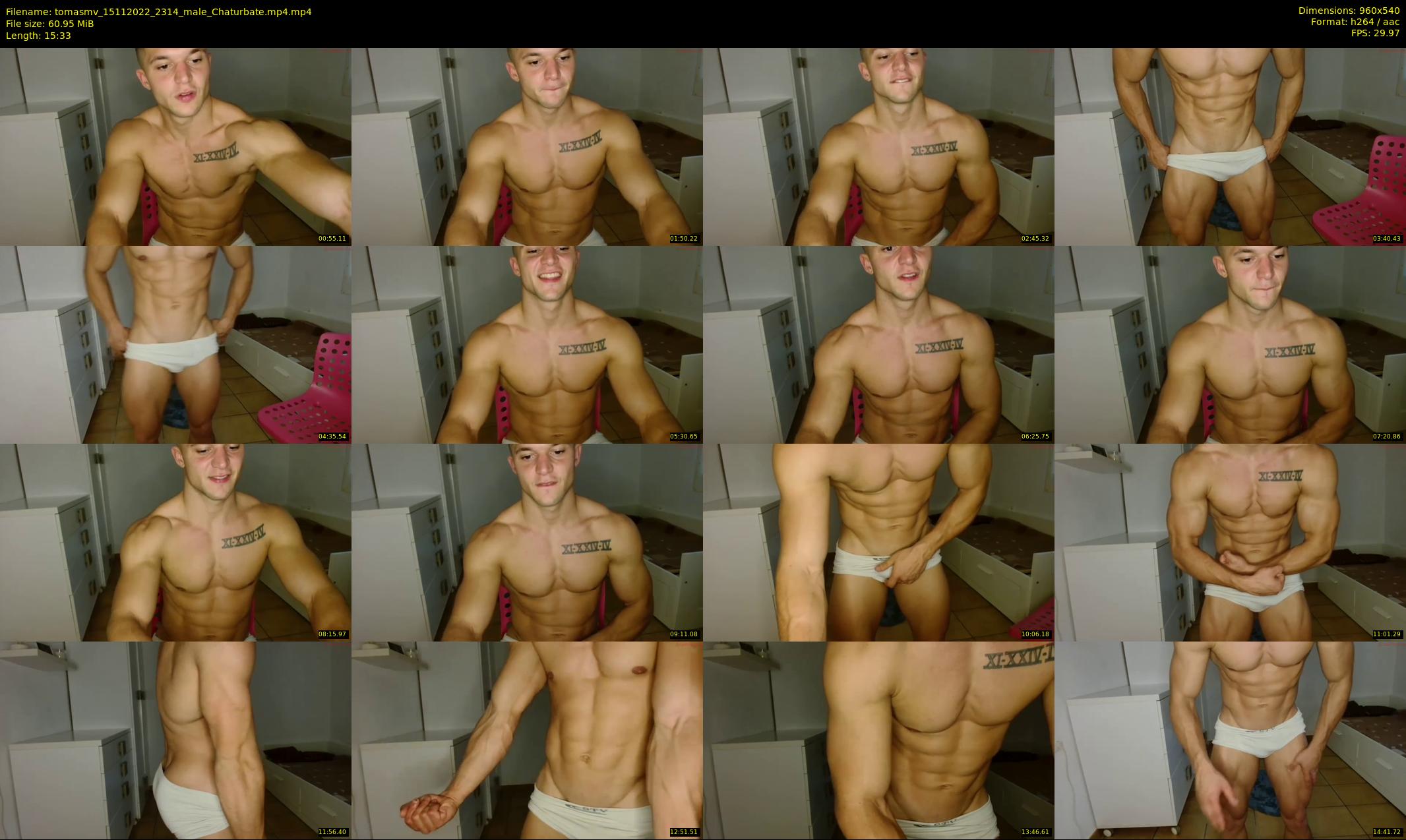 tomasmv — 16 minute Chaturbate male cam show recording, 480p, Nov 15, 2022