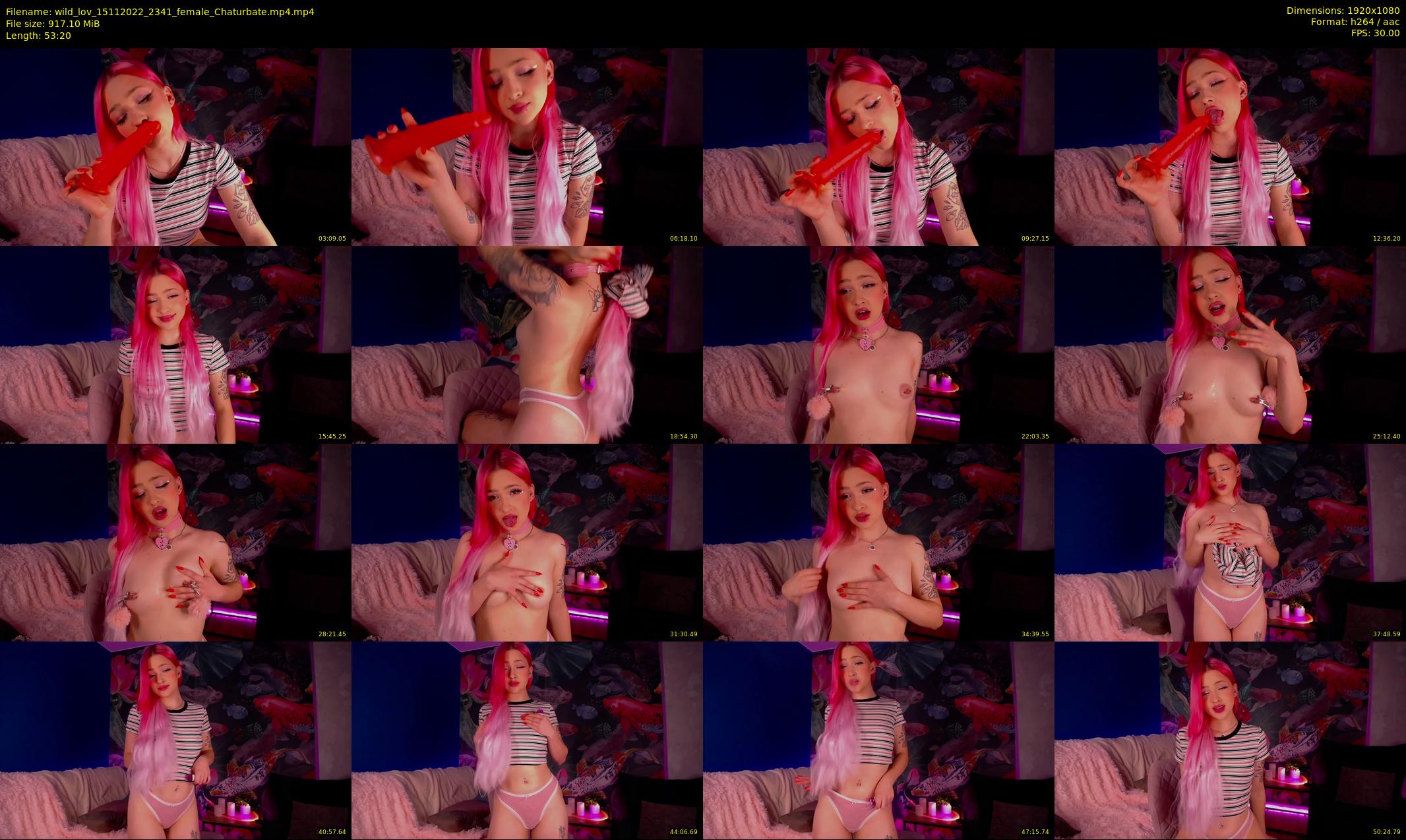 wild_lov — 54 minute Chaturbate female cam show recording, 1080p, Nov 15, 2022