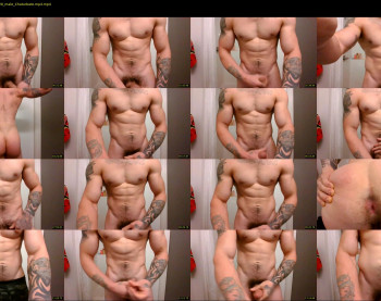 evancage — 15 minute Chaturbate male cam show recording, 480p, Nov 17, 2022