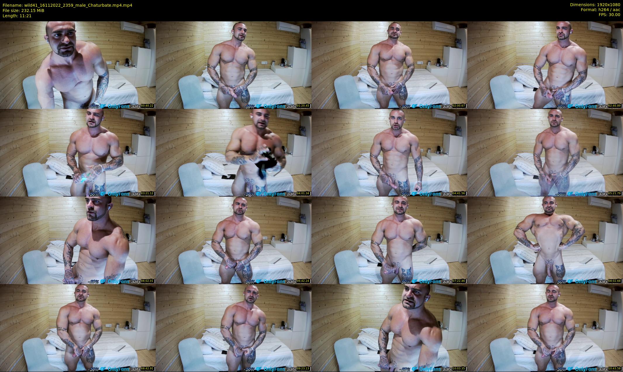 wild41 — 12 minute Chaturbate couple cam show recording, 1080p, Nov 16, 2022