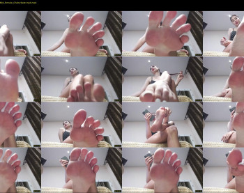 black_alex_ — 8 minute Chaturbate couple cam show recording, 720p, Nov 17, 2022