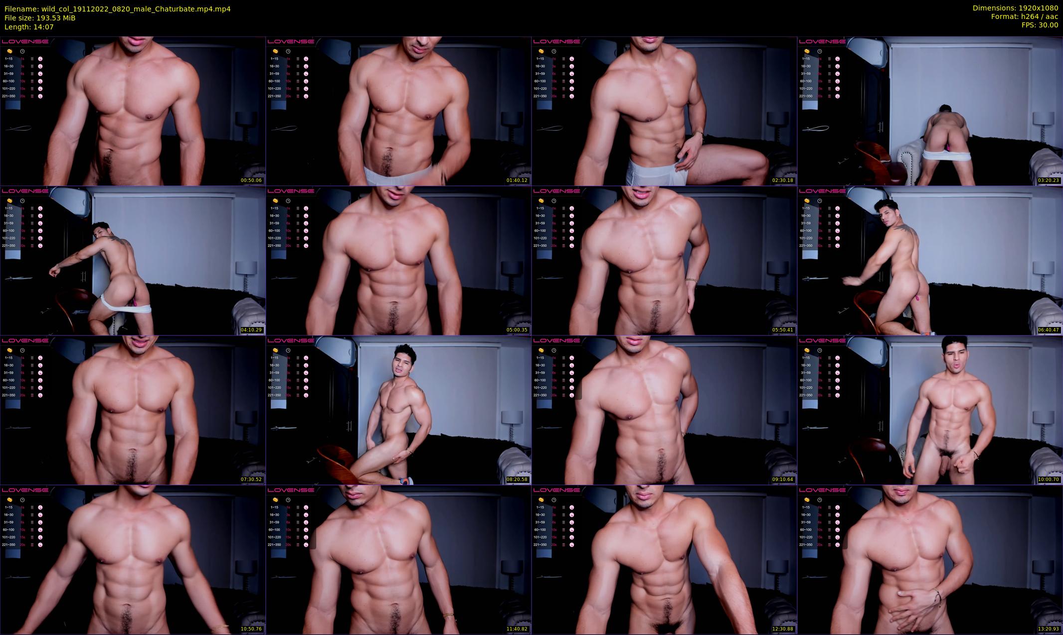 wild_col — 15 minute Chaturbate male cam show recording, 1080p, Nov 19, 2022
