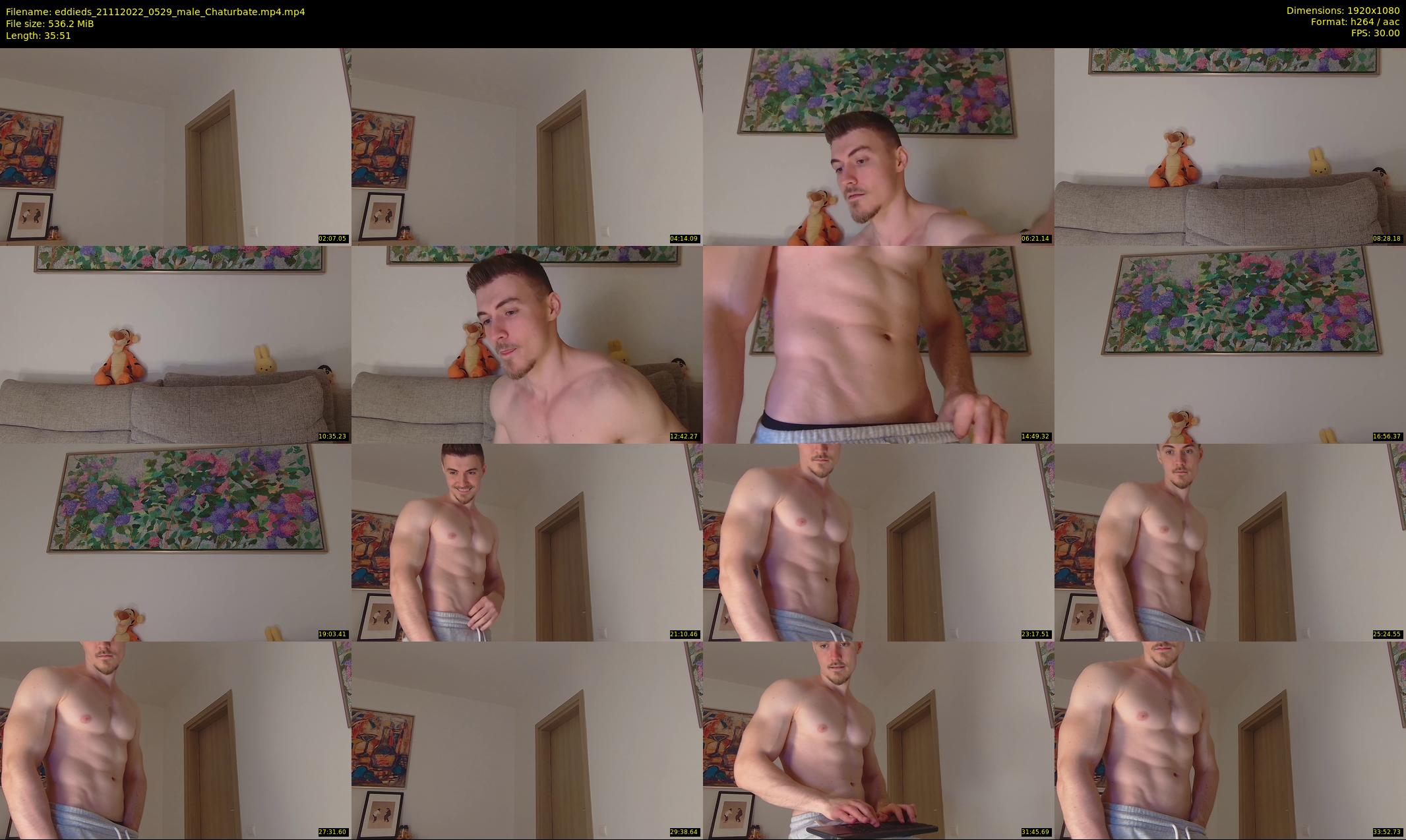 eddieds — 36 minute Chaturbate male cam show recording, 1080p, Nov 21, 2022