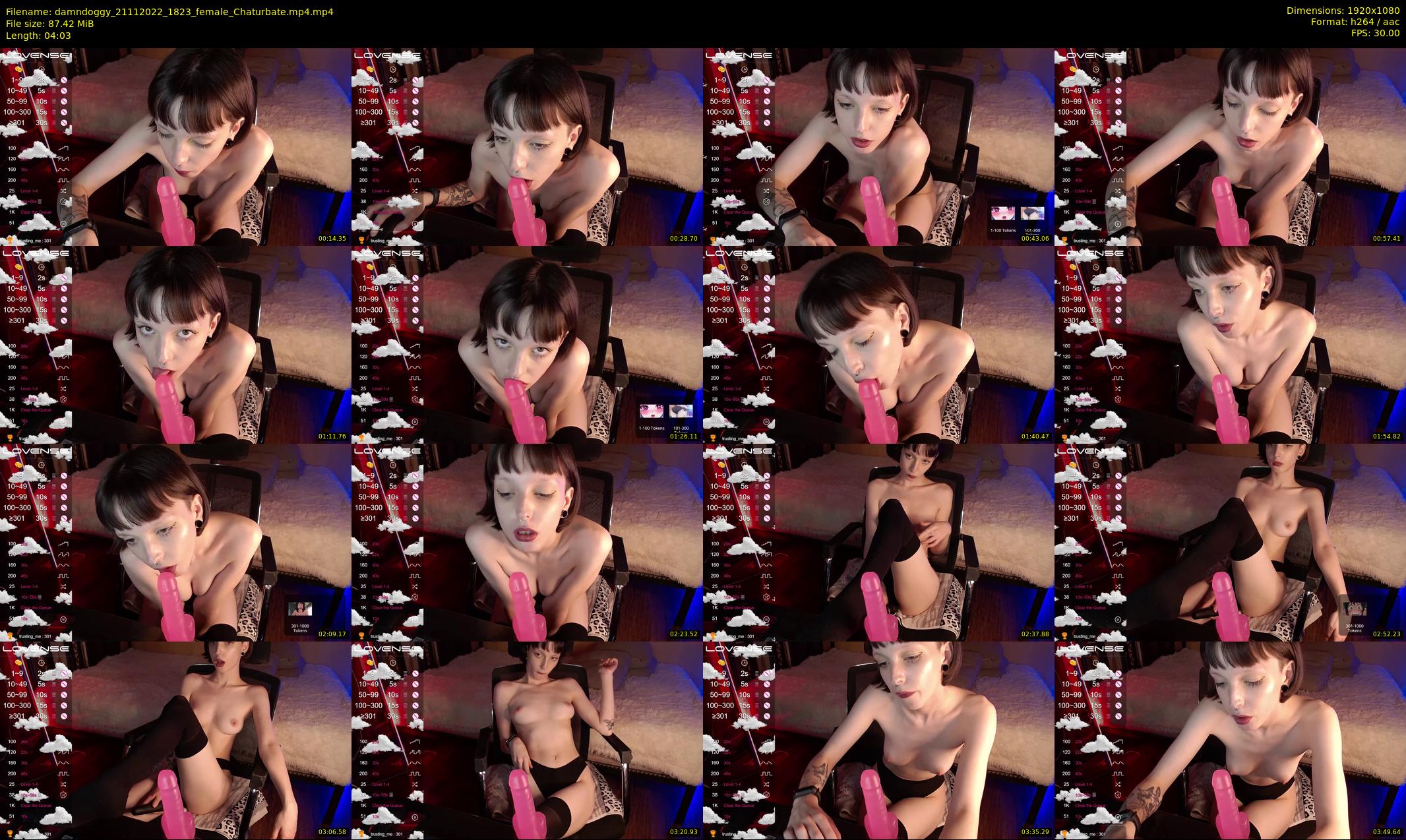 damndoggy — 5 minute Chaturbate couple cam show recording, 1080p, Nov 21, 2022