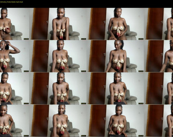 gulpess — 11 minute Chaturbate female cam show recording, 480p, Nov 21, 2022