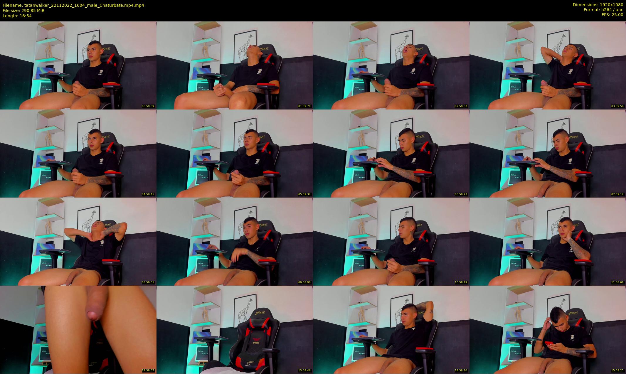 tatanwalker — 17 minute Chaturbate male cam show recording, 1080p, Nov 22, 2022