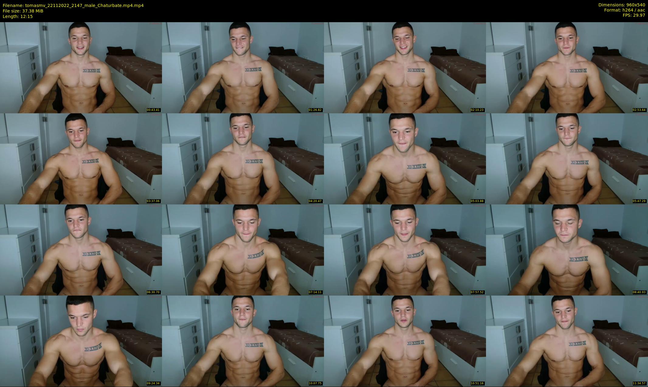 tomasmv — 13 minute Chaturbate male cam show recording, 480p, Nov 22, 2022