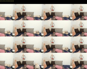 annavalente_ — 4 minute Chaturbate female cam show recording, 1080p, Nov 23, 2022