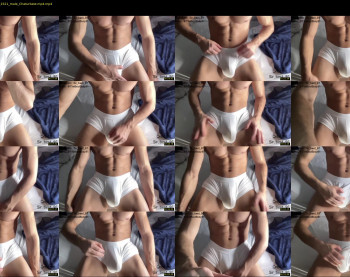 bestdick1991 — 8 minute Chaturbate male cam show recording, 720p, Nov 24, 2022