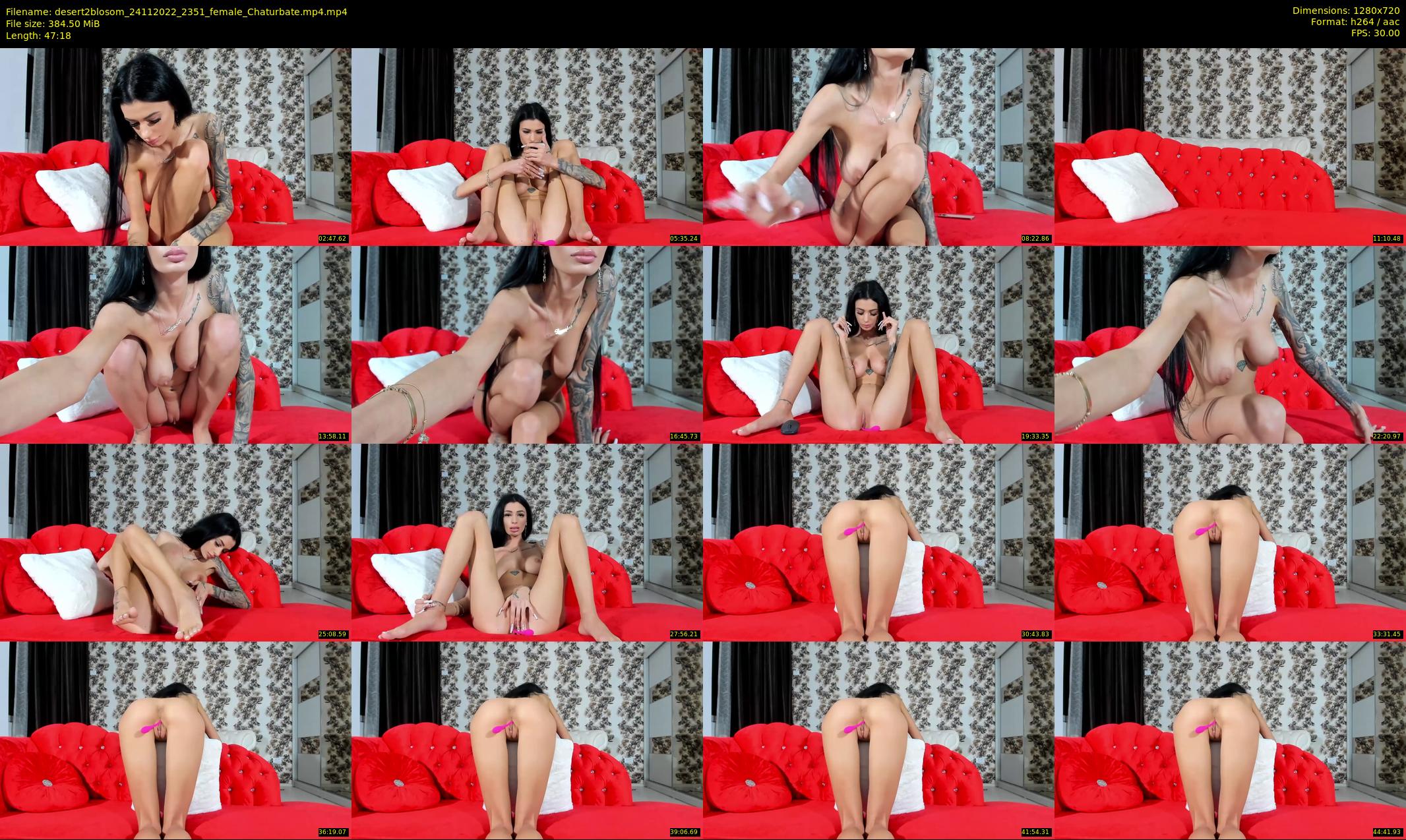 desert2blosom — 48 minute Chaturbate female cam show recording, 720p, Nov 24, 2022