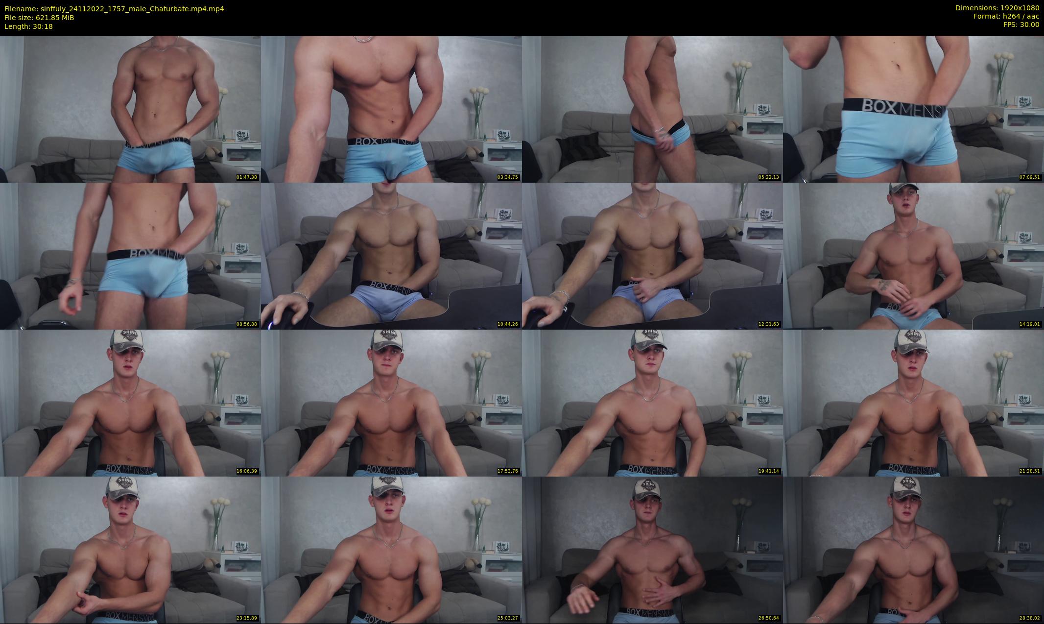 sinffuly — 31 minute Chaturbate male cam show recording, 1080p, Nov 24, 2022