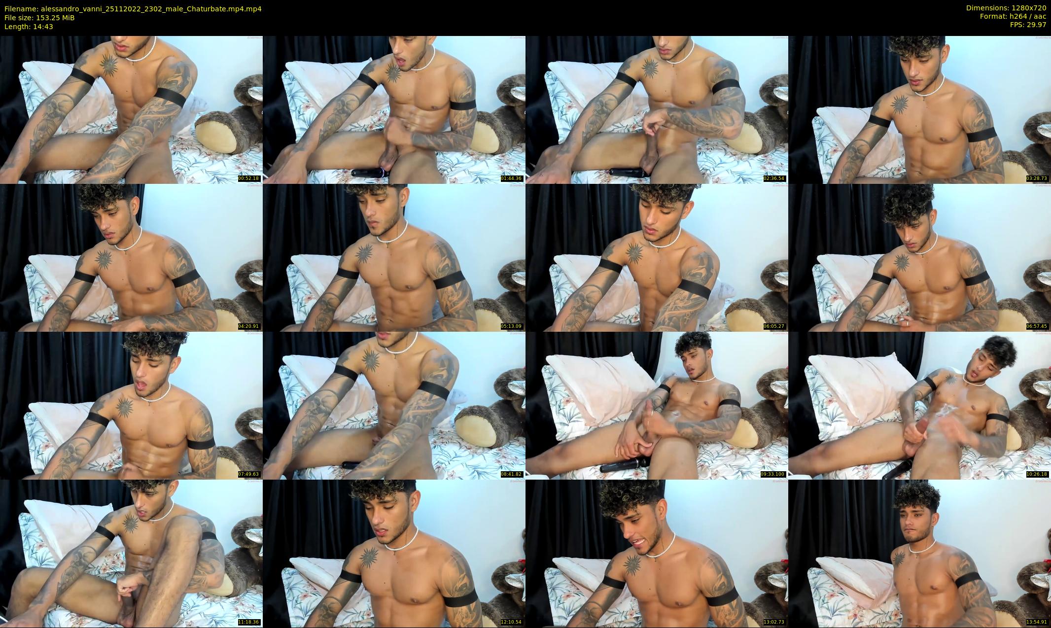 alessandro_vanni — 15 minute Chaturbate male cam show recording, 720p, Nov 25, 2022