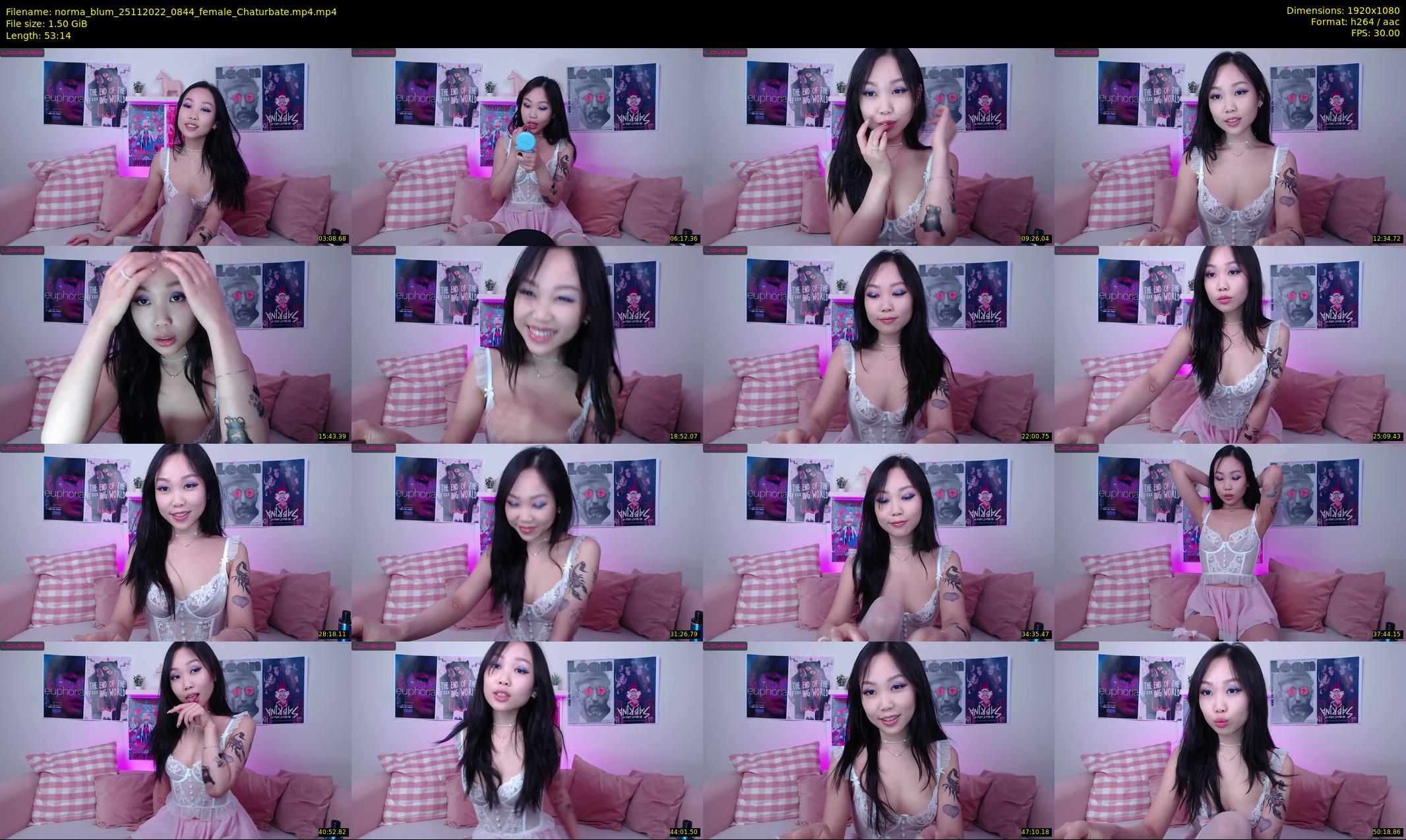 norma_blum — 54 minute Chaturbate female cam show recording, 1080p, Nov 25, 2022