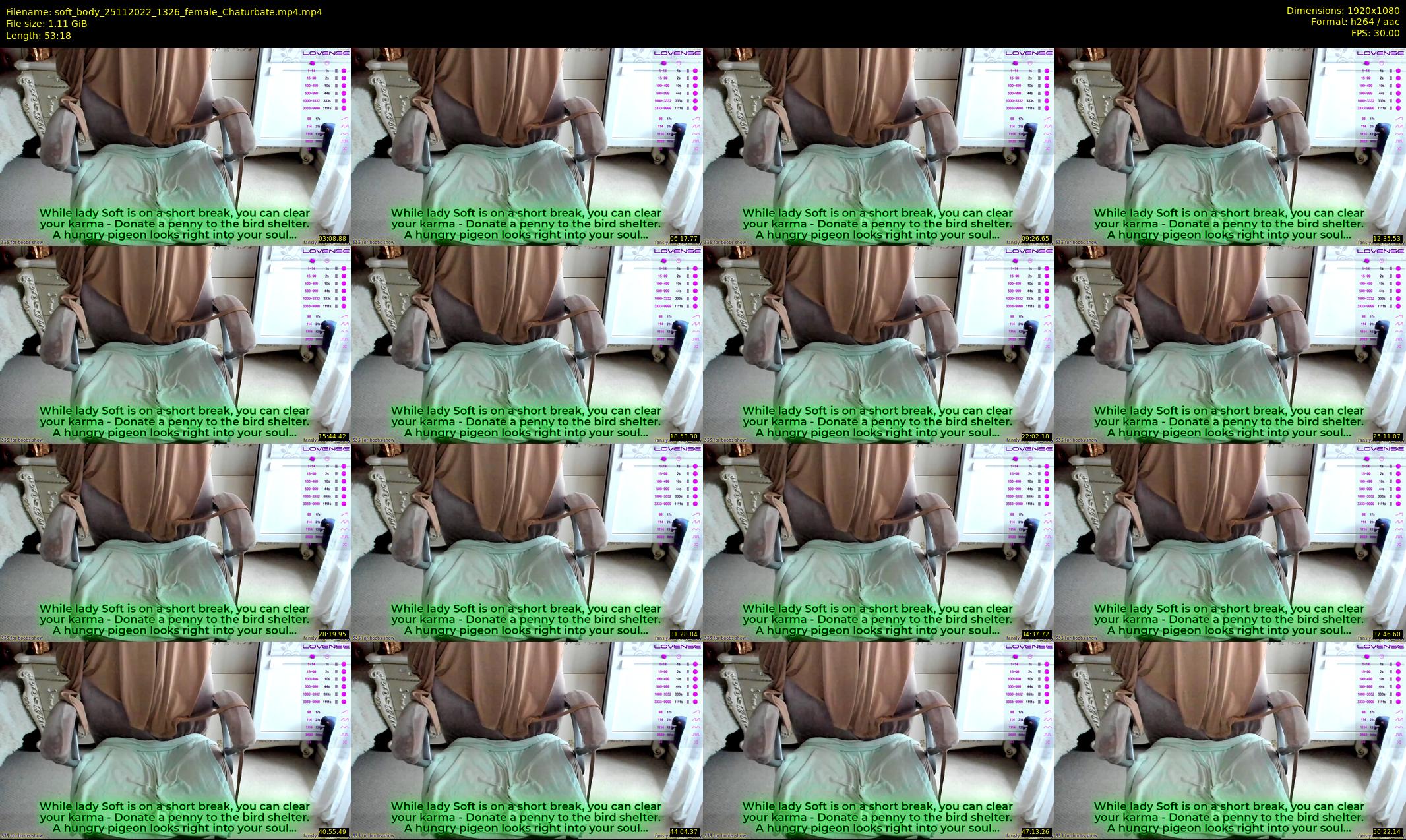 soft_body — 54 minute Chaturbate female cam show recording, 1080p, Nov 25, 2022