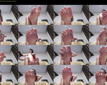 black_alex_ — 6 minute Chaturbate couple cam show recording, 720p, Nov 26, 2022
