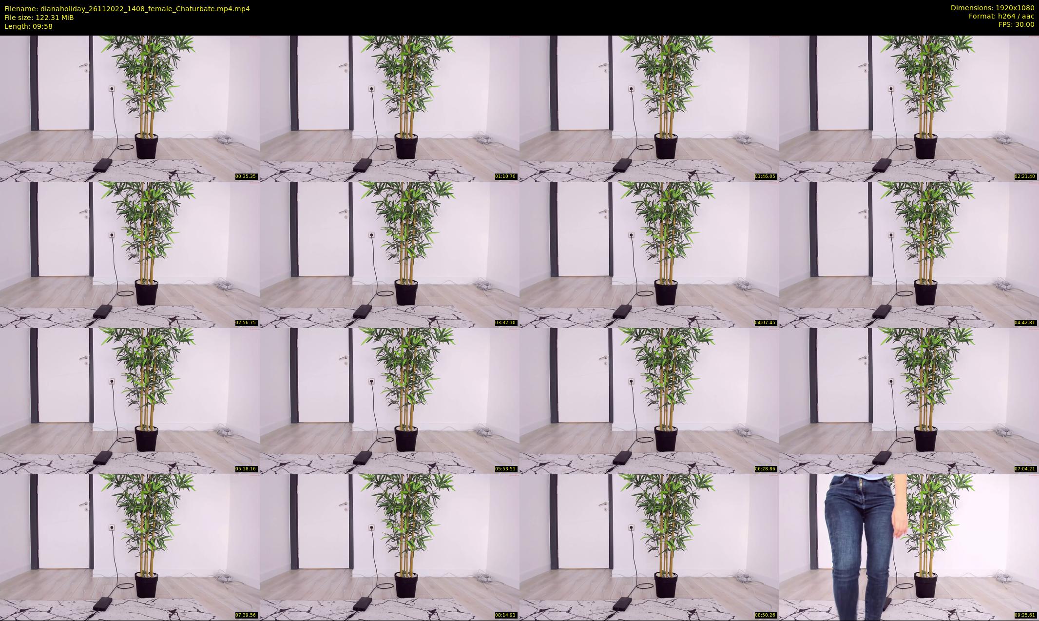 dianaholiday — 10 minute Chaturbate female cam show recording, 1080p, Nov 26, 2022