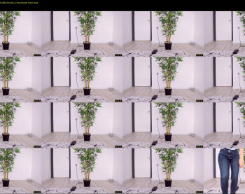 dianaholiday — 10 minute Chaturbate female cam show recording, 1080p, Nov 26, 2022