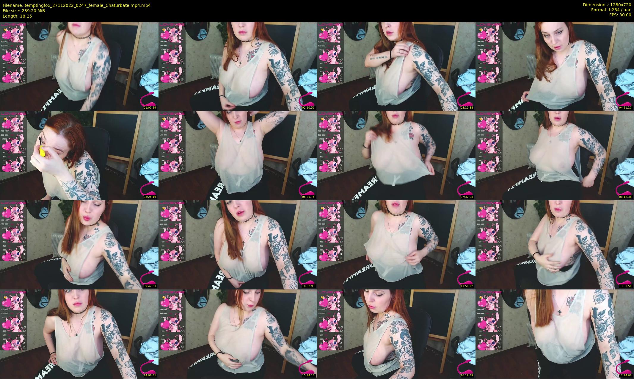temptingfox — 19 minute Chaturbate female cam show recording, 720p, Nov 27, 2022