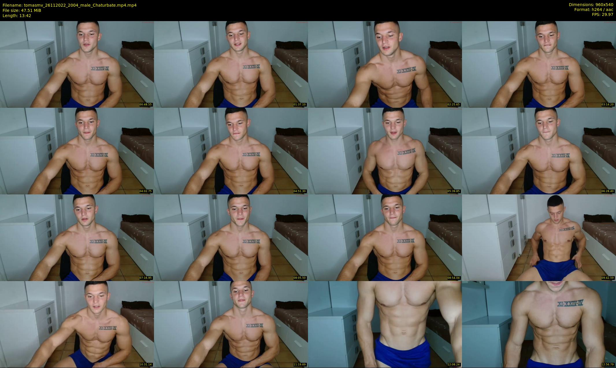 tomasmv — 14 minute Chaturbate male cam show recording, 480p, Nov 26, 2022