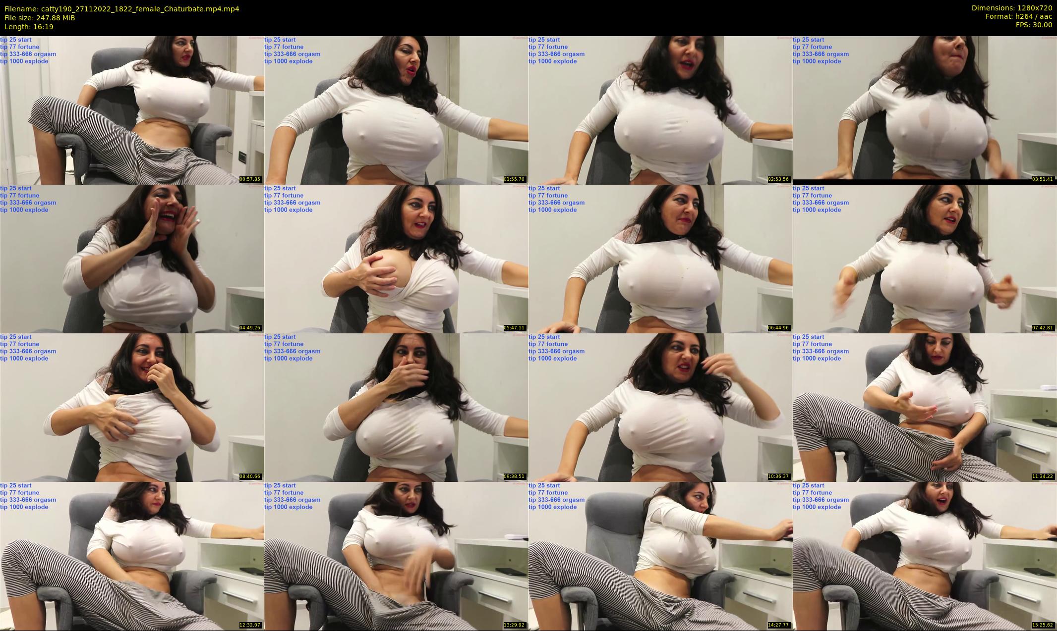 catty190 — 17 minute Chaturbate female cam show recording, 720p, Nov 27, 2022