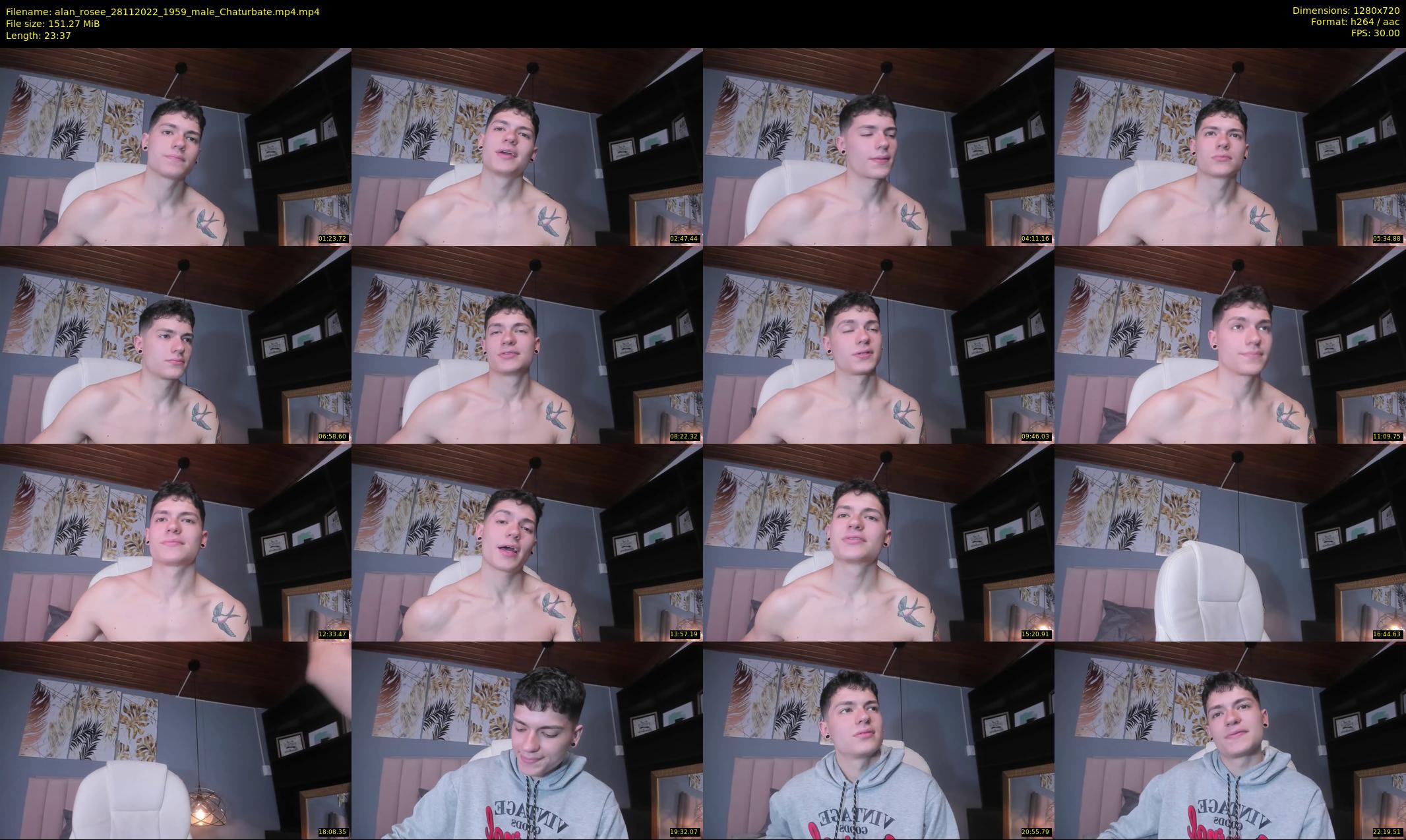 alan_rosee — 24 minute Chaturbate male cam show recording, 720p, Nov 28, 2022