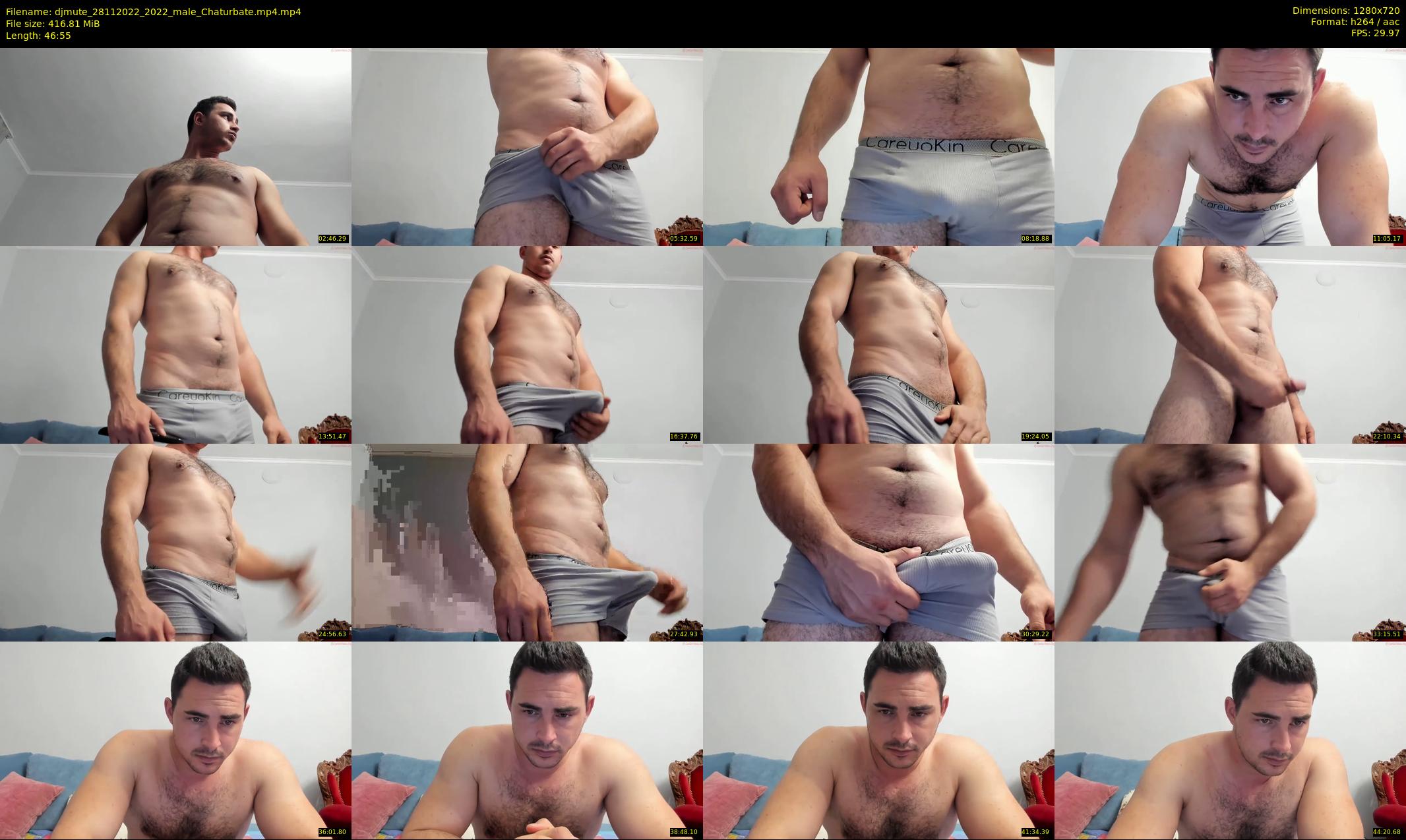 djmute — 47 minute Chaturbate male cam show recording, 720p, Nov 28, 2022