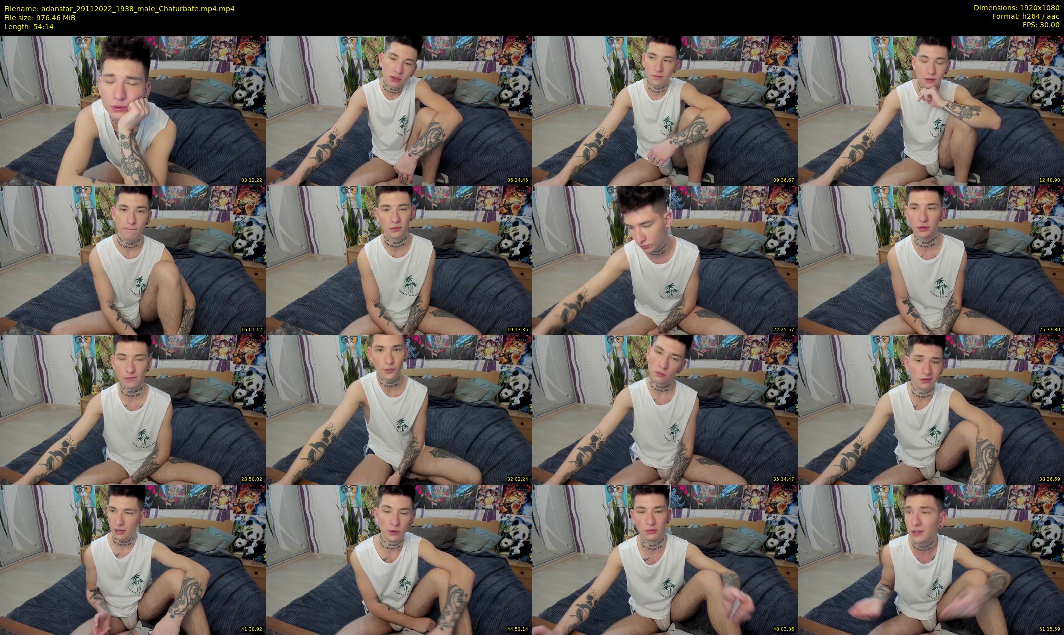 adanstar — 55 minute Chaturbate male cam show recording, 1080p, Nov 29, 2022