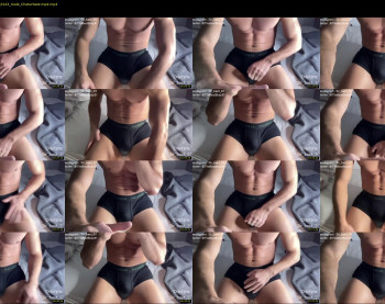 bestdick1991 — 8 minute Chaturbate male cam show recording, 720p, Nov 30, 2022
