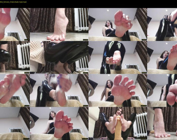 black_alex_ — 97 minute Chaturbate couple cam show recording, 720p, Nov 29, 2022