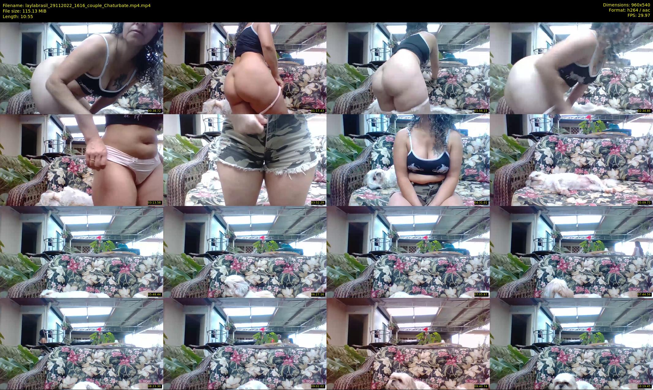 laylabrasil — 11 minute Chaturbate female cam show recording, 480p, Nov 29, 2022