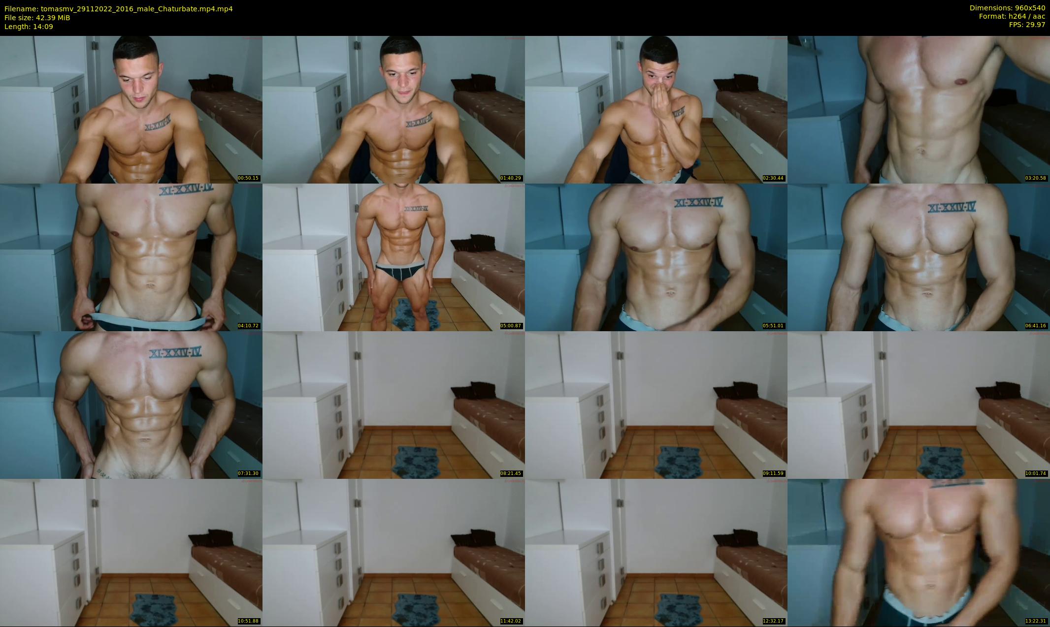 tomasmv — 15 minute Chaturbate male cam show recording, 480p, Nov 29, 2022