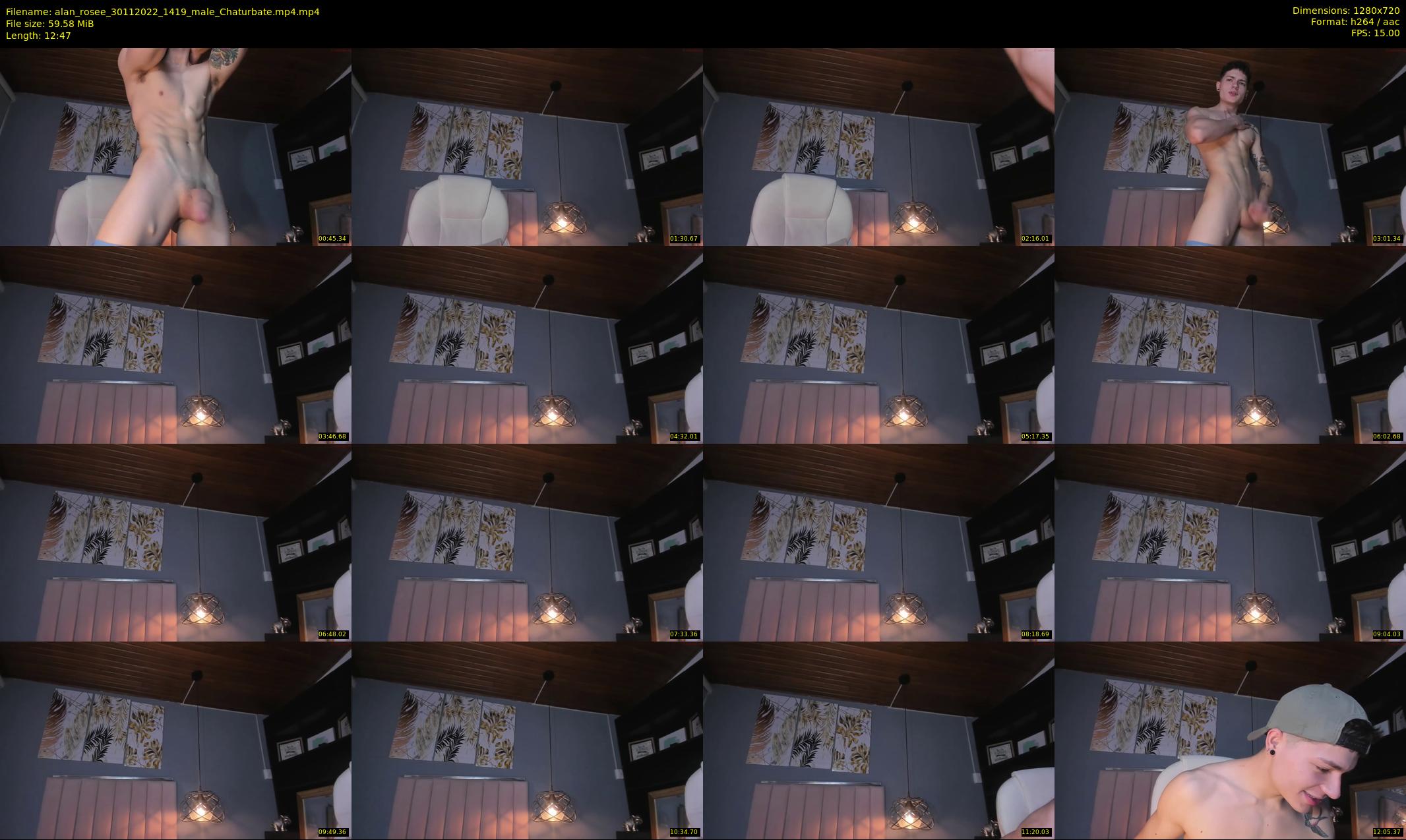 alan_rosee — 13 minute Chaturbate male cam show recording, 720p, Nov 30, 2022
