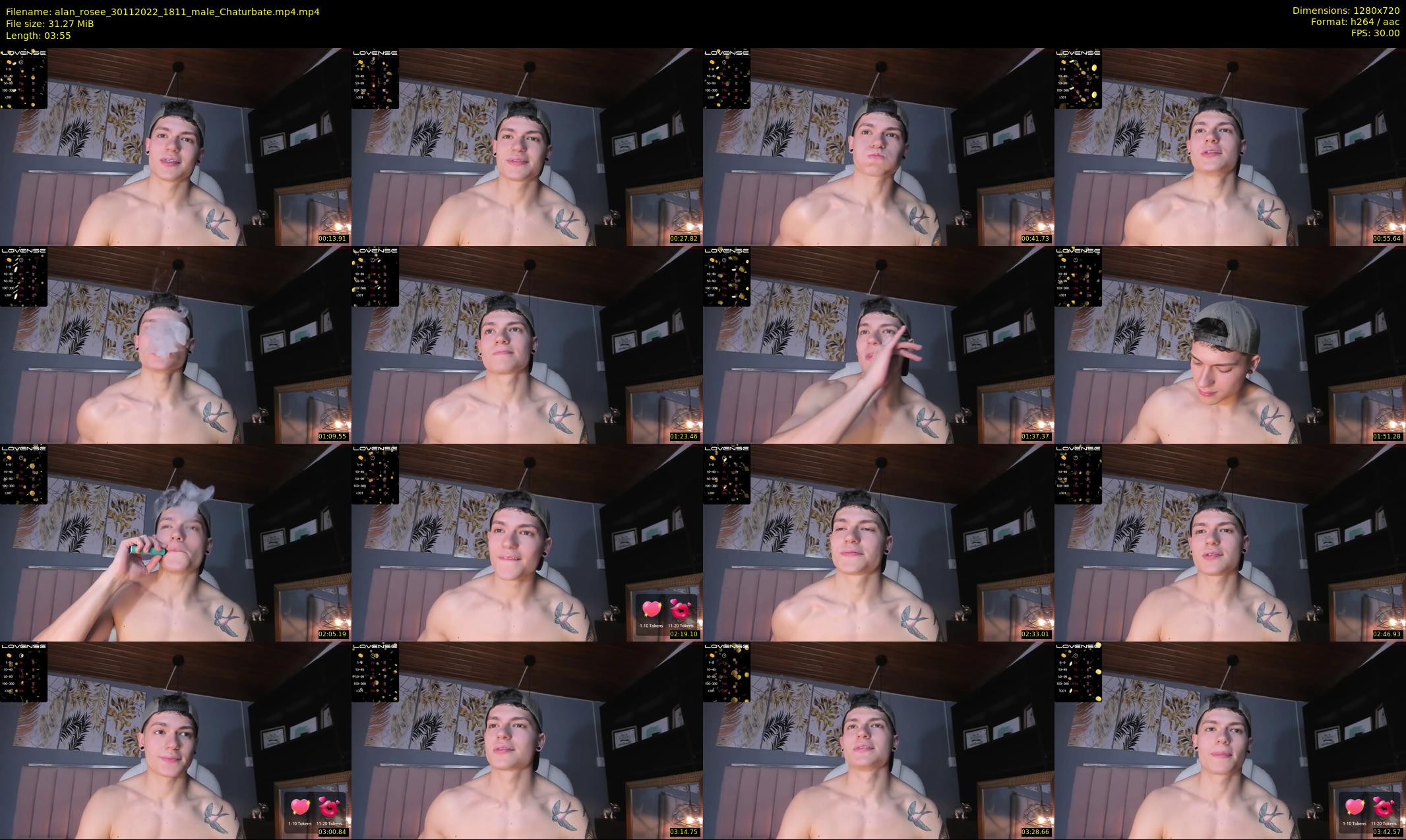 alan_rosee — 4 minute Chaturbate male cam show recording, 720p, Nov 30, 2022