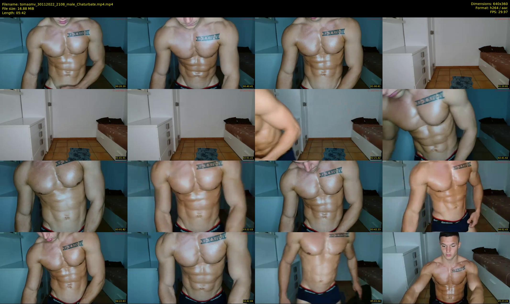 tomasmv — 6 minute Chaturbate male cam show recording, 360p, Nov 30, 2022