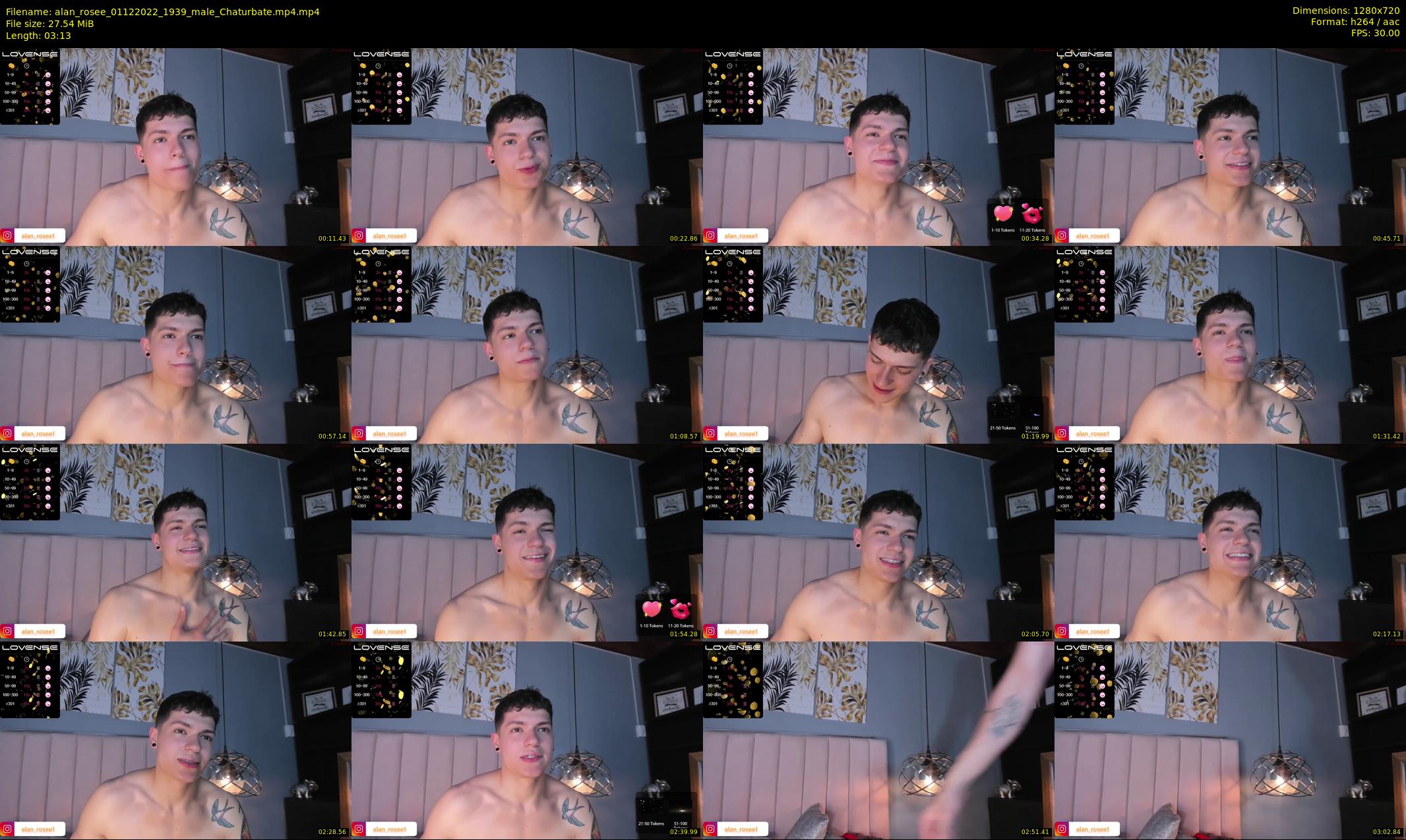 alan_rosee — 4 minute Chaturbate male cam show recording, 720p, Dec 1, 2022