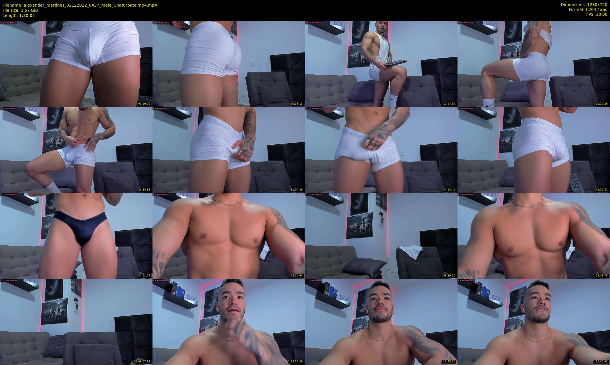 alexander_martines — 91 minute Chaturbate male cam show recording, 720p, Dec 2, 2022