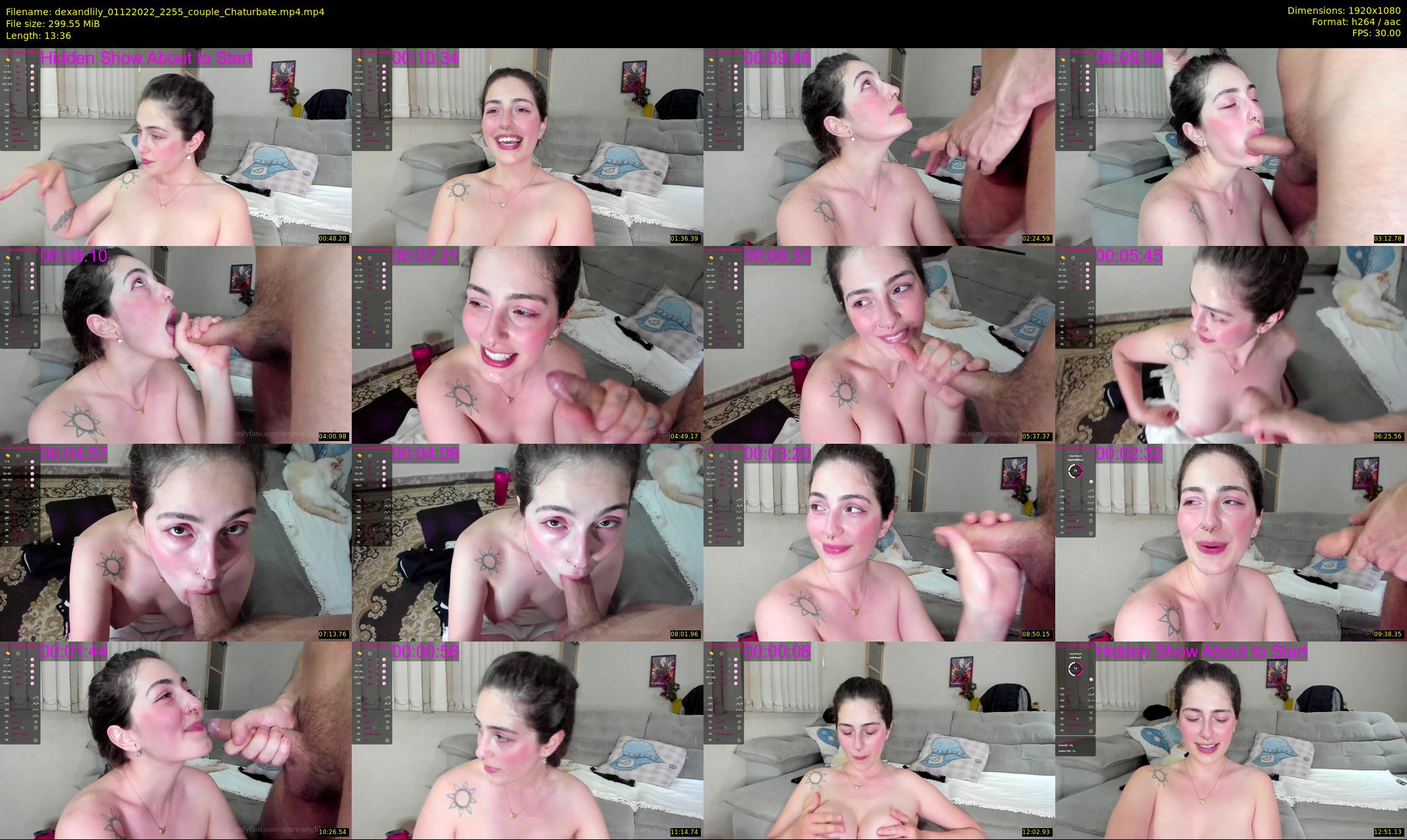 dexandlily — 14 minute Chaturbate couple cam show recording, 1080p, Dec 1, 2022