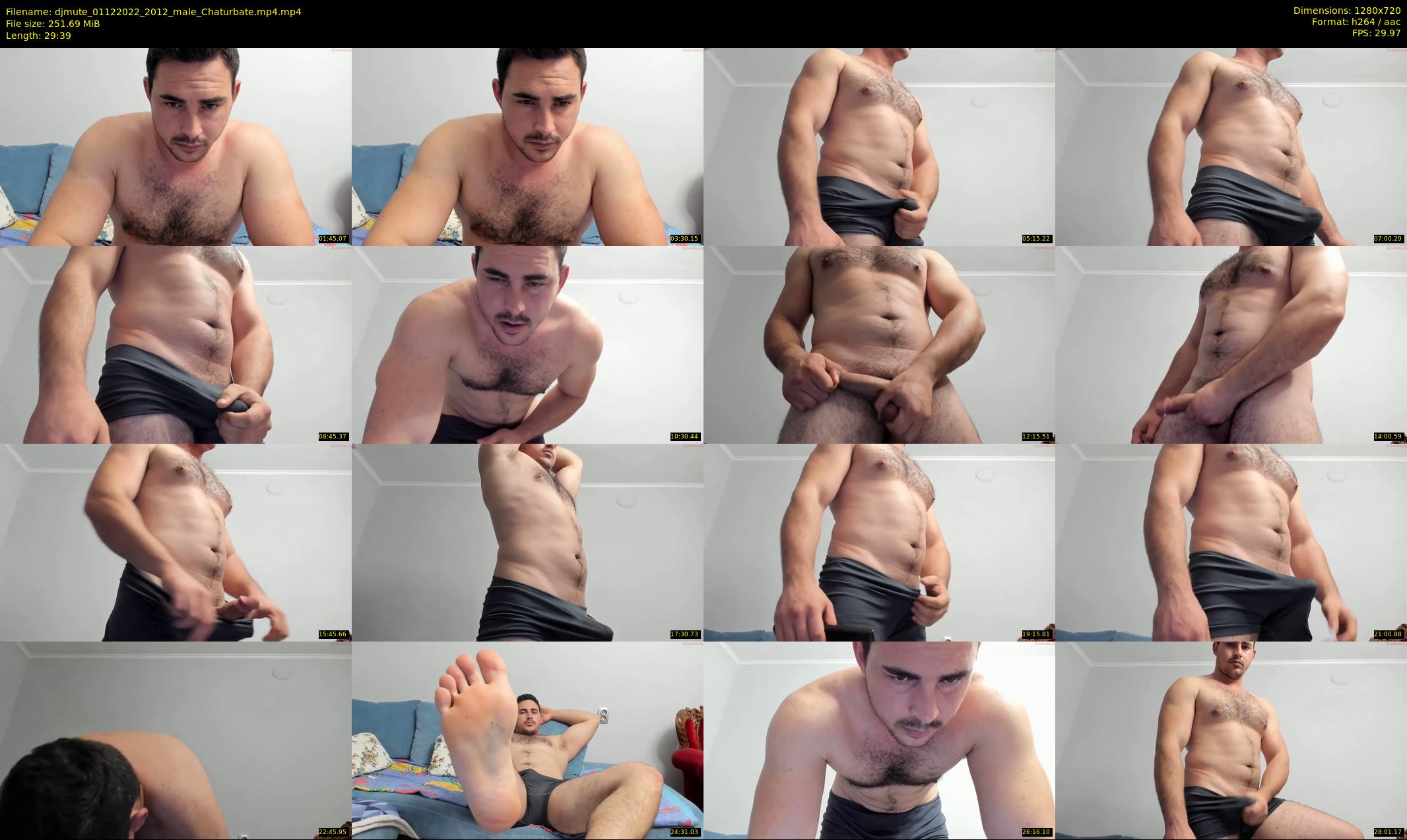 djmute — 30 minute Chaturbate male cam show recording, 720p, Dec 1, 2022